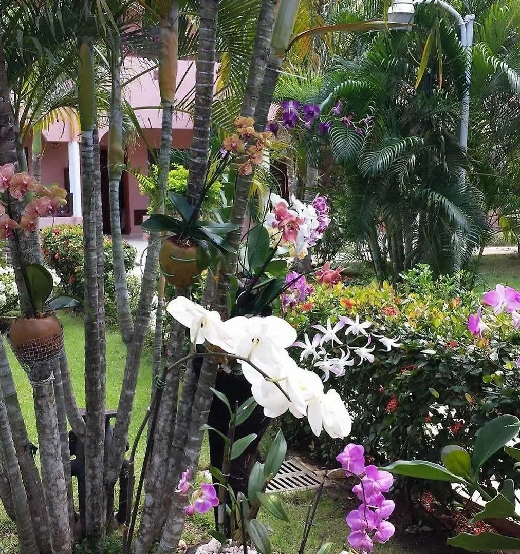 Soficu Hotel El Eden Dominicus Bayahibe